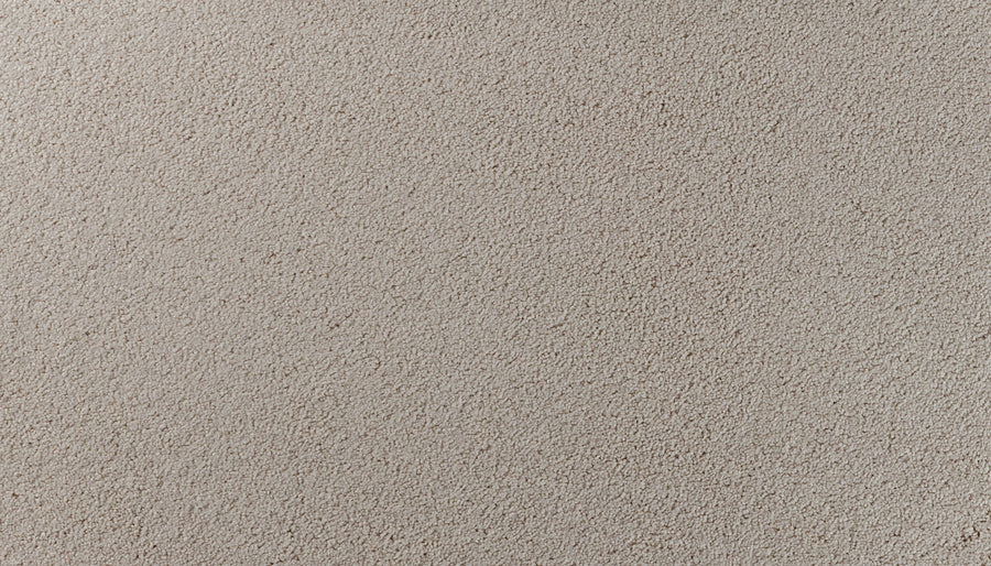 Close-up view of Salinas Valley II Pet Friendly Carpet in Willow—a light beige, textured surface with a slightly uneven, grainy appearance, perfect for luxury flooring in sophisticated spaces and suitable for high-traffic areas.