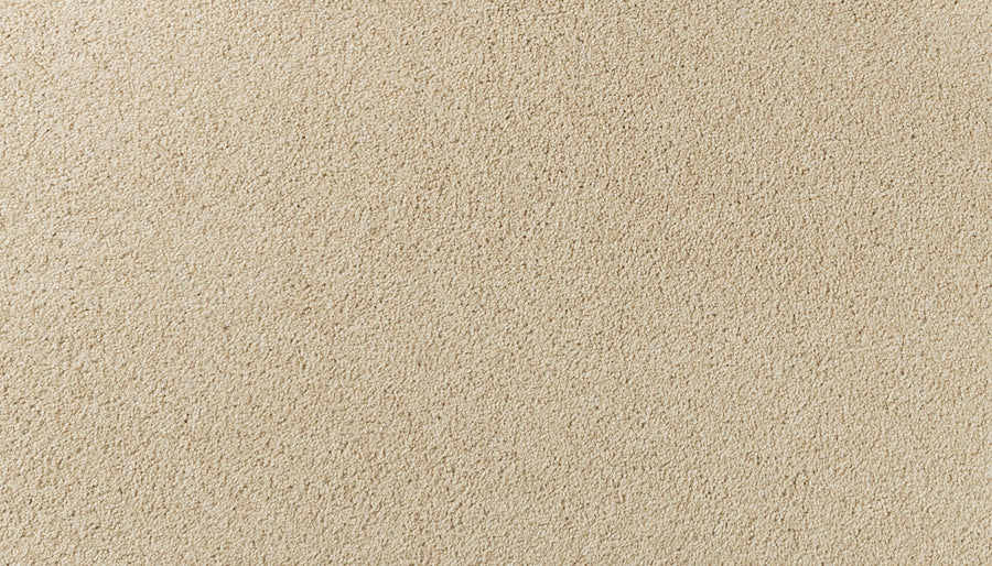 Close-up of Salinas Valley II Pet Friendly Carpet in Eads color reveals a soft, textured, and uniform beige surface—ideal for sophisticated designs in high-traffic spaces.