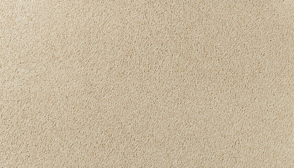 Close-up of Salinas Valley II Pet Friendly Carpet in Eads color reveals a soft, textured, and uniform beige surface—ideal for sophisticated designs in high-traffic spaces.