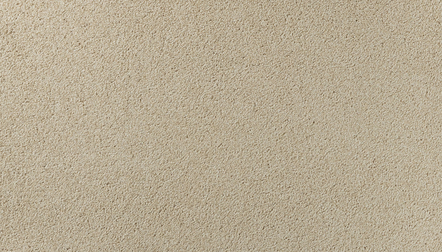 Close-up of Salinas Valley II Pet Friendly Carpet in Durango color. Tightly packed fibers create a soft, uniform texture with subtle color variations—an ideal luxury flooring choice for high-traffic areas.
