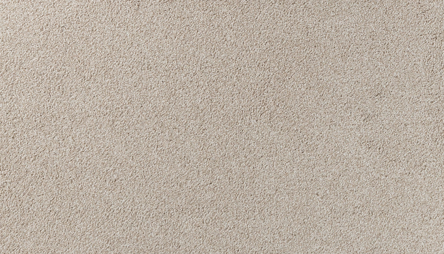 Close-up view of Salinas Valley II Pet Friendly Carpet in Briarwood. Its soft, textured surface and even fiber loops offer a uniform look—making it sophisticated and ideal for high-traffic areas.