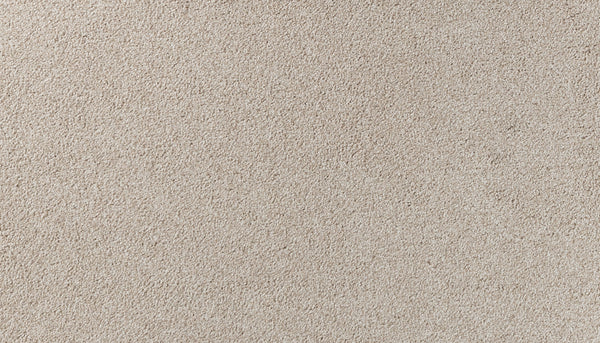 Close-up view of Salinas Valley II Pet Friendly Carpet in Briarwood. Its soft, textured surface and even fiber loops offer a uniform look—making it sophisticated and ideal for high-traffic areas.