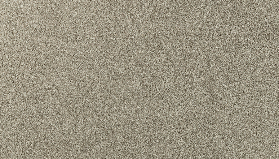 Close-up view of Salinas Valley II Pet Friendly Carpet in Castle color, featuring a soft, textured surface. Perfect for high-traffic areas, its uniform fibers offer a smooth, plush look that adds sophistication to any space.