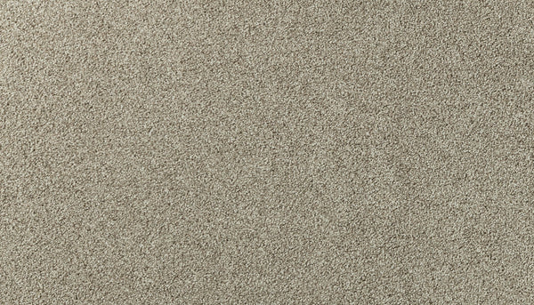 Close-up view of Salinas Valley II Pet Friendly Carpet in Castle color, featuring a soft, textured surface. Perfect for high-traffic areas, its uniform fibers offer a smooth, plush look that adds sophistication to any space.