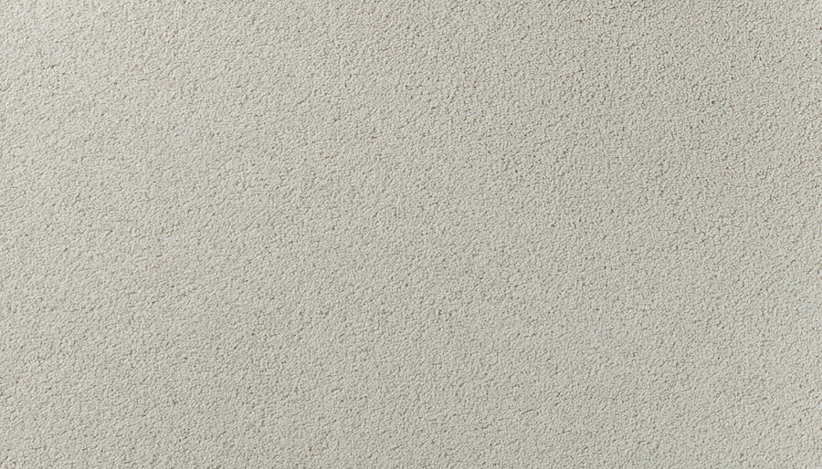 Close-up of Salinas Valley II Pet Friendly Carpet in Englewood—showcasing its textured, off-white surface with a consistent, grainy appearance. Perfect for sophisticated design and durability in high-traffic spaces.