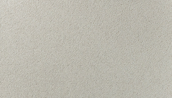 Close-up of Salinas Valley II Pet Friendly Carpet in Englewood—showcasing its textured, off-white surface with a consistent, grainy appearance. Perfect for sophisticated design and durability in high-traffic spaces.