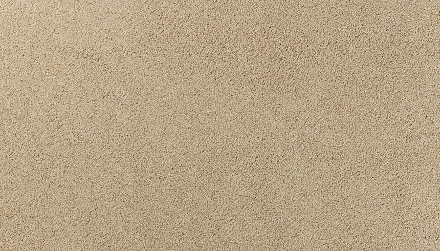 Close-up view of Salinas Valley II Pet Friendly Carpet in Dillon color, featuring a soft, uniform beige texture with a slightly fuzzy appearance—ideal luxury flooring for high-traffic areas. No patterns or objects, just the even carpet surface.