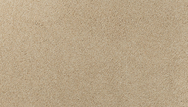 Close-up view of Salinas Valley II Pet Friendly Carpet in Dillon color, featuring a soft, uniform beige texture with a slightly fuzzy appearance—ideal luxury flooring for high-traffic areas. No patterns or objects, just the even carpet surface.
