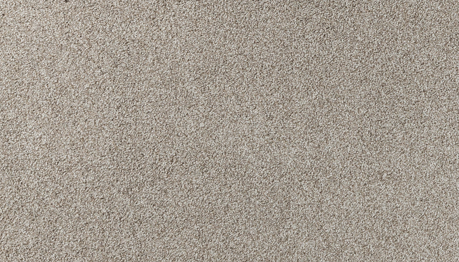 Close-up view of Salinas Valley II Pet Friendly Carpet in Bonita color, featuring a soft, uniform texture and evenly distributed fibers—an ideal luxury flooring choice for high-traffic areas in any room.