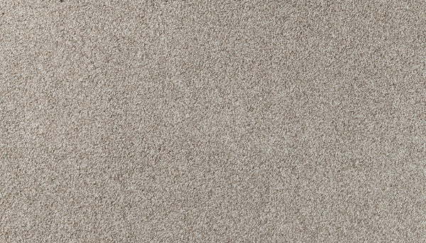 Close-up view of Salinas Valley II Pet Friendly Carpet in Bonita color, featuring a soft, uniform texture and evenly distributed fibers—an ideal luxury flooring choice for high-traffic areas in any room.