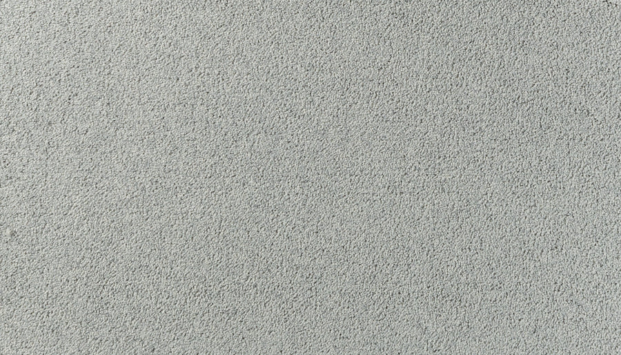 A close-up of Salinas Valley II Pet Friendly Carpet in Ridgeline shows its light gray, textured surface with even fibers and a soft, plush look—an ideal, luxurious flooring choice for sophisticated, high-traffic areas.