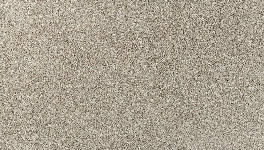 A close-up of Salinas Valley II Pet Friendly Carpet in Humarock, featuring a soft, uniform texture and tightly woven light beige fibers—an ideal, stylish choice for high-traffic areas in any space.