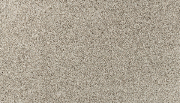 A close-up of Salinas Valley II Pet Friendly Carpet in Humarock, featuring a soft, uniform texture and tightly woven light beige fibers—an ideal, stylish choice for high-traffic areas in any space.