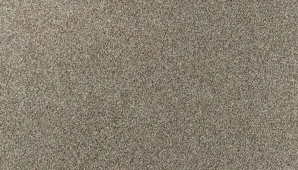 Close-up of Salinas Valley II Pet Friendly Carpet in Waugh—featuring a textured, glittery gold surface with a sparkling look, perfect for adding luxury and durability to high-traffic areas.
