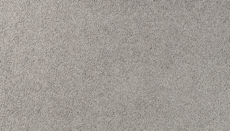 Close-up of Salinas Valley II Pet Friendly Carpet in Baccara—a light gray, textured surface with subtle shading that's soft and even. Perfect for sophisticated design schemes and ideal for high-traffic areas.