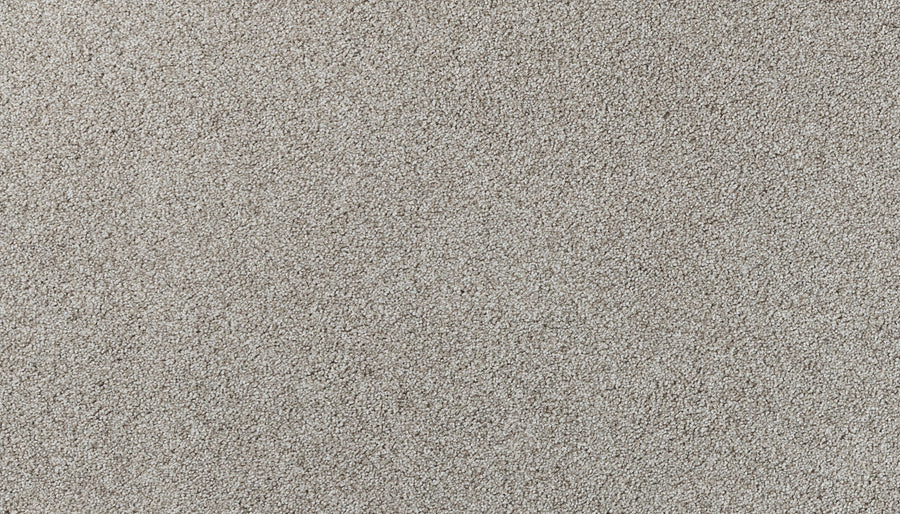 Close-up of Salinas Valley II Pet Friendly Carpet in Telluride—light beige color, soft textured surface, and evenly distributed fibers for luxurious flooring ideal for high-traffic areas.