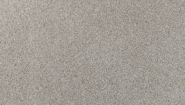 Close-up of Salinas Valley II Pet Friendly Carpet in Telluride—light beige color, soft textured surface, and evenly distributed fibers for luxurious flooring ideal for high-traffic areas.