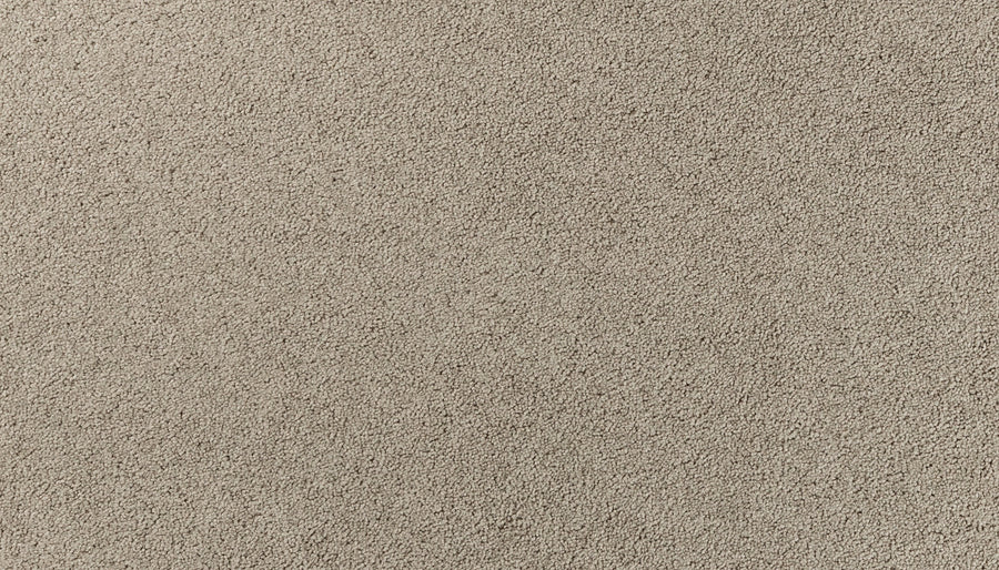Close-up of Salinas Valley II Pet Friendly Carpet in Villa—a soft, textured beige surface with a uniform, speckled look. Perfect luxury flooring for high-traffic areas and pet-friendly homes.