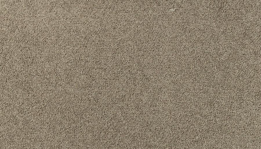 Close-up of the Salinas Valley II Pet Friendly Carpet in Talbot, featuring tightly woven beige fibers and elegant design—ideal for bringing style and durability to busy spaces.