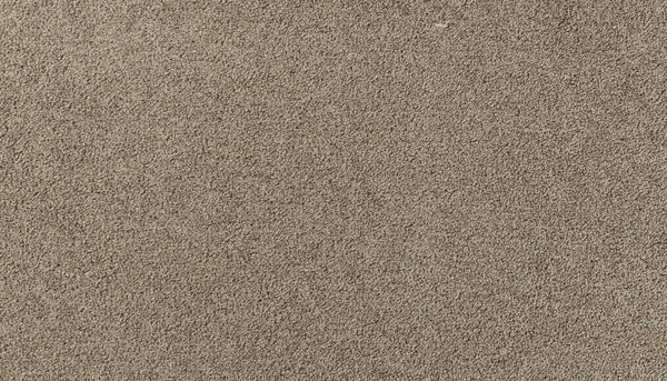 Close-up of the Salinas Valley II Pet Friendly Carpet in Talbot, featuring tightly woven beige fibers and elegant design—ideal for bringing style and durability to busy spaces.