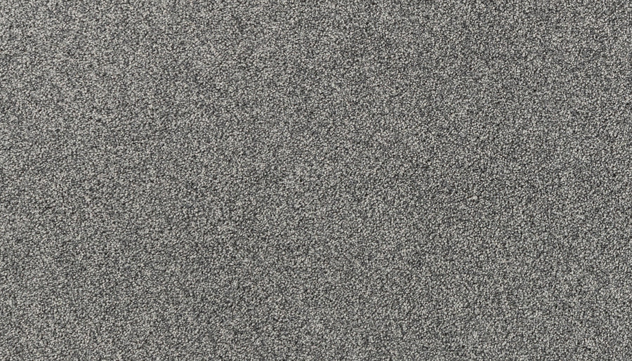 Close-up of Salinas Valley II Pet Friendly Carpet in Black, featuring fine, evenly spread fibers that create a textured, durable pattern—perfect for sophisticated, luxury flooring in busy areas.