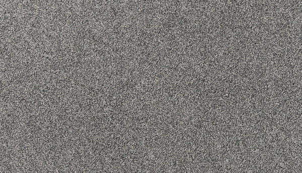 Close-up of Salinas Valley II Pet Friendly Carpet in Black, featuring fine, evenly spread fibers that create a textured, durable pattern—perfect for sophisticated, luxury flooring in busy areas.