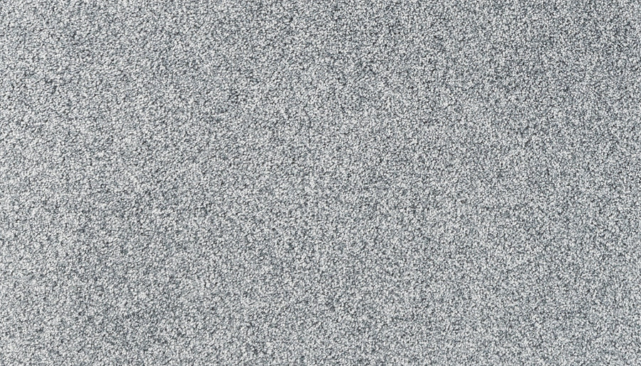 Close-up of Salinas Valley II Pet Friendly Carpet in Zirkel color, showing its fine, grainy texture and even distribution—resembling luxury flooring suited for high-traffic areas.