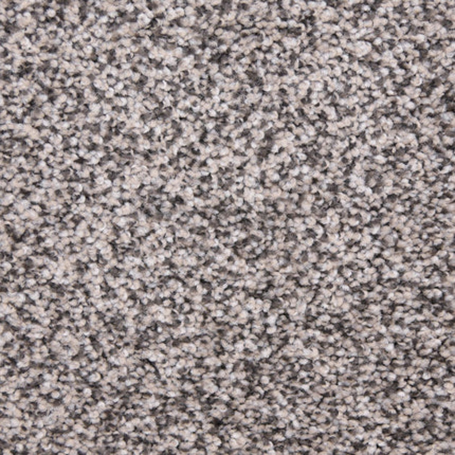 Close-up of the Maroon Bells Family Friendly Carpet in Salt & Pepper, showing its textured surface with a blend of gray, beige, and white fibers for a speckled, soft, and family-friendly appearance.