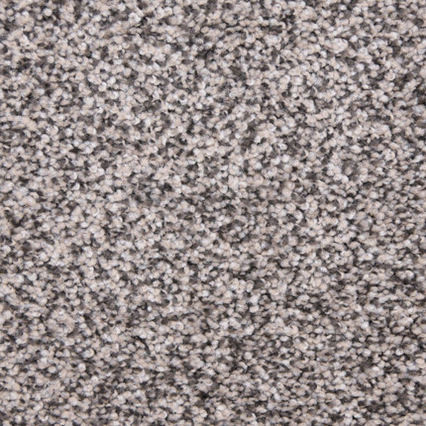 Close-up of the Maroon Bells Family Friendly Carpet in Salt & Pepper, showing its textured surface with a blend of gray, beige, and white fibers for a speckled, soft, and family-friendly appearance.