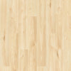 Sand Chestnut