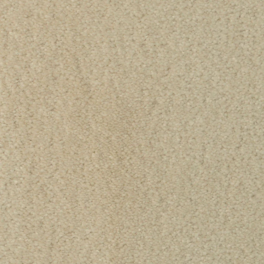 Seduction On Trend Carpet in Sand Dollar offers a soft, textured surface with a subtle, consistent pattern, providing both luxurious comfort and durable flooring.
