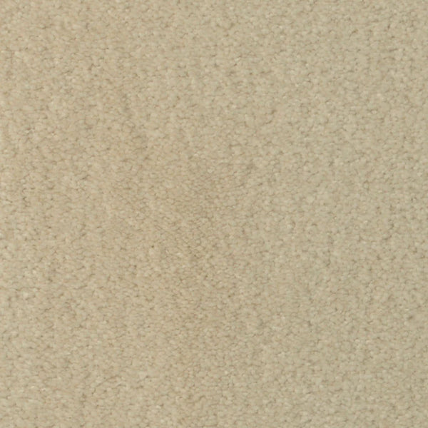 Seduction On Trend Carpet in Sand Dollar offers a soft, textured surface with a subtle, consistent pattern, providing both luxurious comfort and durable flooring.