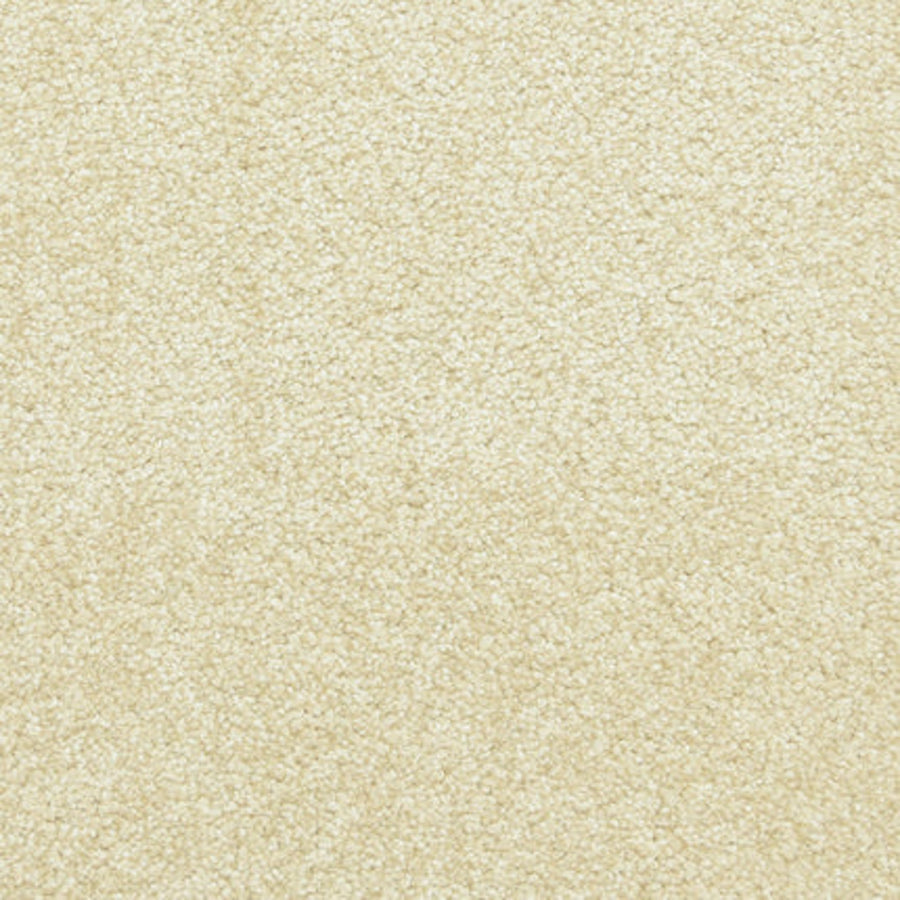 Close-up of Maroon Bells Family Friendly Carpet in Sanderling, highlighting its tightly packed, soft fibers and uniform, durable texture—perfect for active families.
