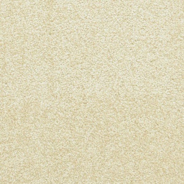Close-up of Maroon Bells Family Friendly Carpet in Sanderling, highlighting its tightly packed, soft fibers and uniform, durable texture—perfect for active families.