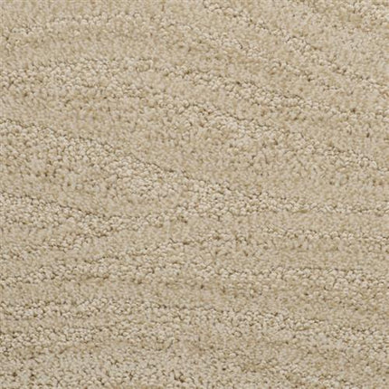 Close-up of Taittinger On Trend Carpet in Sandlot. This beige, textured luxury carpet features a soft looped pile and tightly woven fibers for a plush, uniform look—an ideal choice for high-traffic areas.