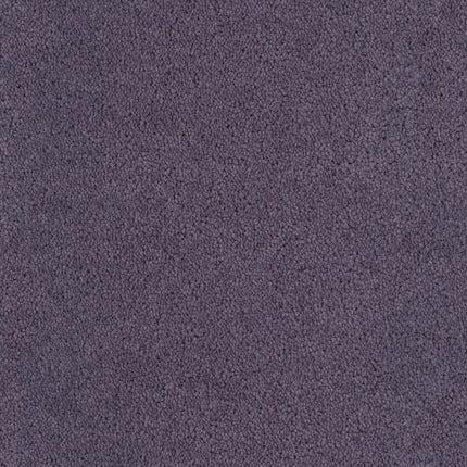 Close-up view of Tribute Family Friendly Carpet in Sandoval—a textured, soft, plush, stain-resistant surface with even coloration throughout, perfect for a family-friendly home.
