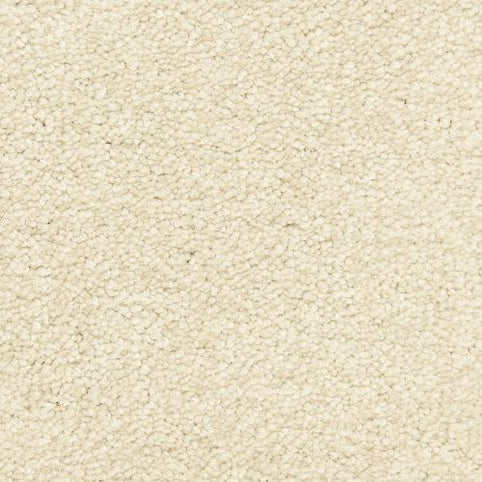 Close-up of Morgan Bay Family Friendly Carpet in Sandstone: a soft, looped pile carpet with a textured, uniform look—ideal for busy homes seeking cozy, neutral flooring.