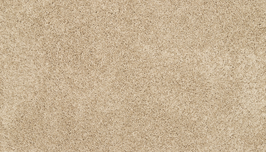 Close-up of Furocious I Pet Friendly Carpet shows its beige color, plush texture, and dense fibers for a uniform look—an ideal choice for stylish, pet-friendly interiors.