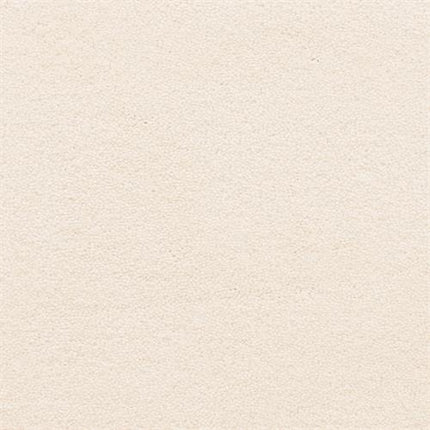 The smooth, light beige 