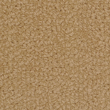Close-up view of Savant Berber Carpet in Savage color, featuring a textured, bumpy surface. Its tightly woven fibers offer uniform durability, making it ideal flooring for high-traffic areas.