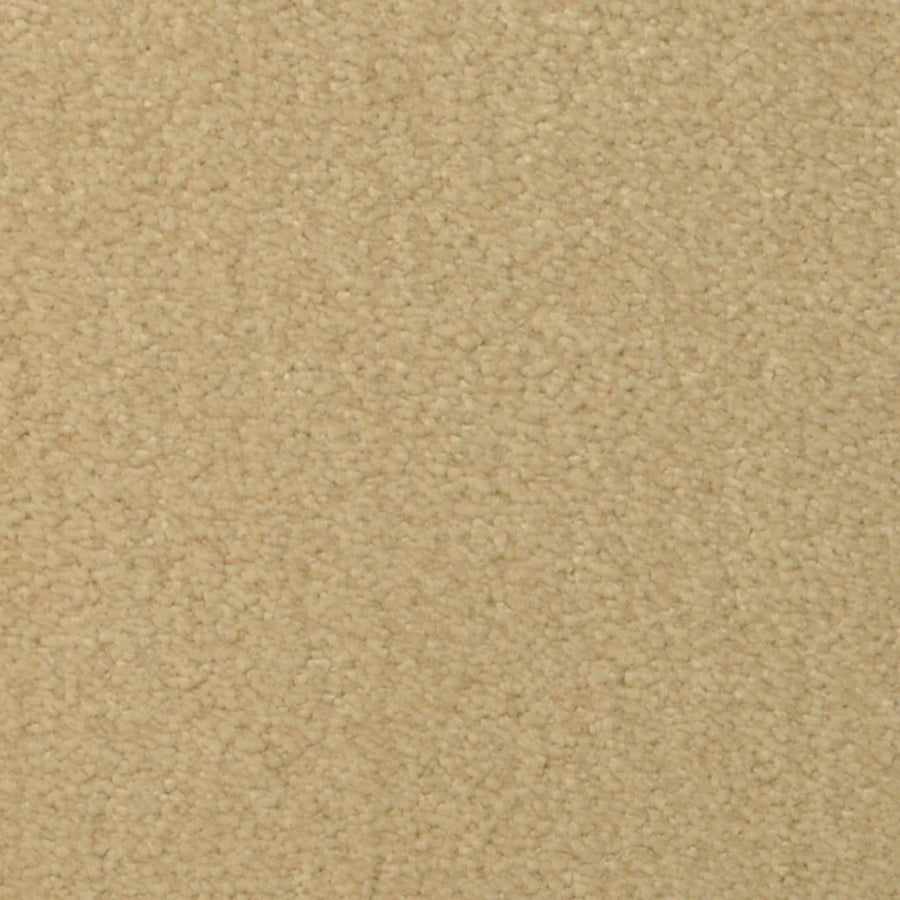 Close-up of Seduction On Trend Carpet in Scone color, featuring a beige, textured surface with uniform small looped fibers for a soft yet durable feel—ideal for those wanting comfort and long-lasting flooring.
