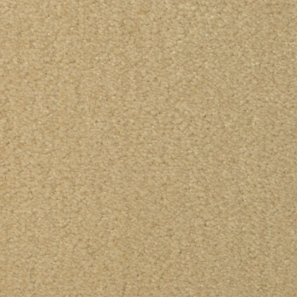 Close-up of Seduction On Trend Carpet in Scone color, featuring a beige, textured surface with uniform small looped fibers for a soft yet durable feel—ideal for those wanting comfort and long-lasting flooring.