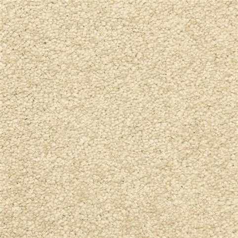 Close-up of Morgan Bay Family Friendly Carpet in Scroll color, featuring a beige, textured looped pile. The image showcases its uniform, soft surface and subtle shade variation for a cozy, family friendly look—ideal for high-traffic areas.