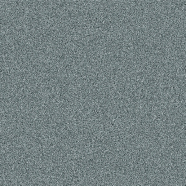 Featuring a blue and gray static noise pattern with tiny, evenly distributed dots and a grainy texture, You Got This III Pet Friendly Carpet in Sea Ice is perfect for stylish, modern flooring that’s both durable and pet-friendly.