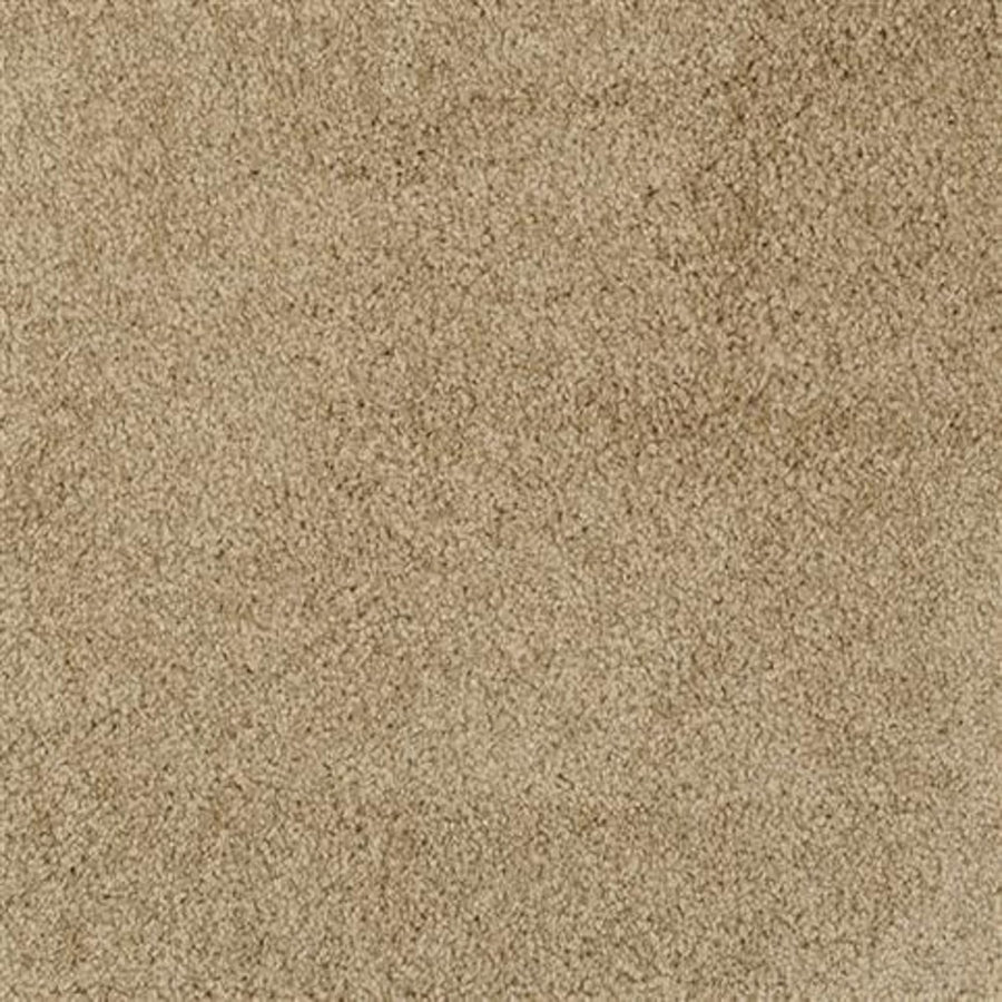 Close-up of the Oceanside Family Friendly Carpet in Sea Urchin, showcasing its soft, dense, and textured fibers with a subtle mottled look—ideal for any living space needing a durable, family-friendly carpet.