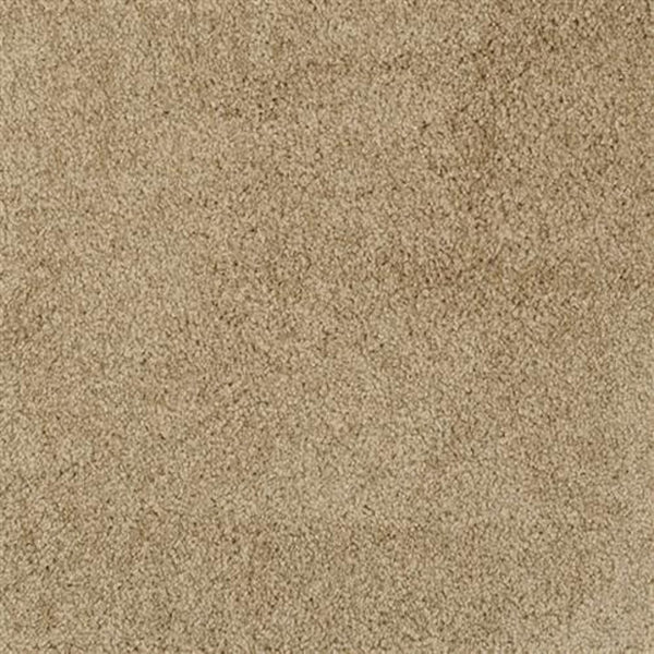 Close-up of the Oceanside Family Friendly Carpet in Sea Urchin, showcasing its soft, dense, and textured fibers with a subtle mottled look—ideal for any living space needing a durable, family-friendly carpet.