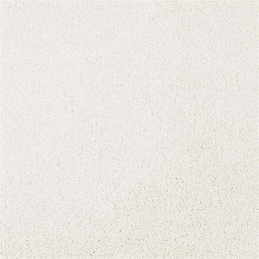 Close-up of Oceanside Family Friendly Carpet in Seapearl—a smooth, light beige surface with a fine grainy texture, perfect for plush flooring and creating a cozy, family-friendly atmosphere.