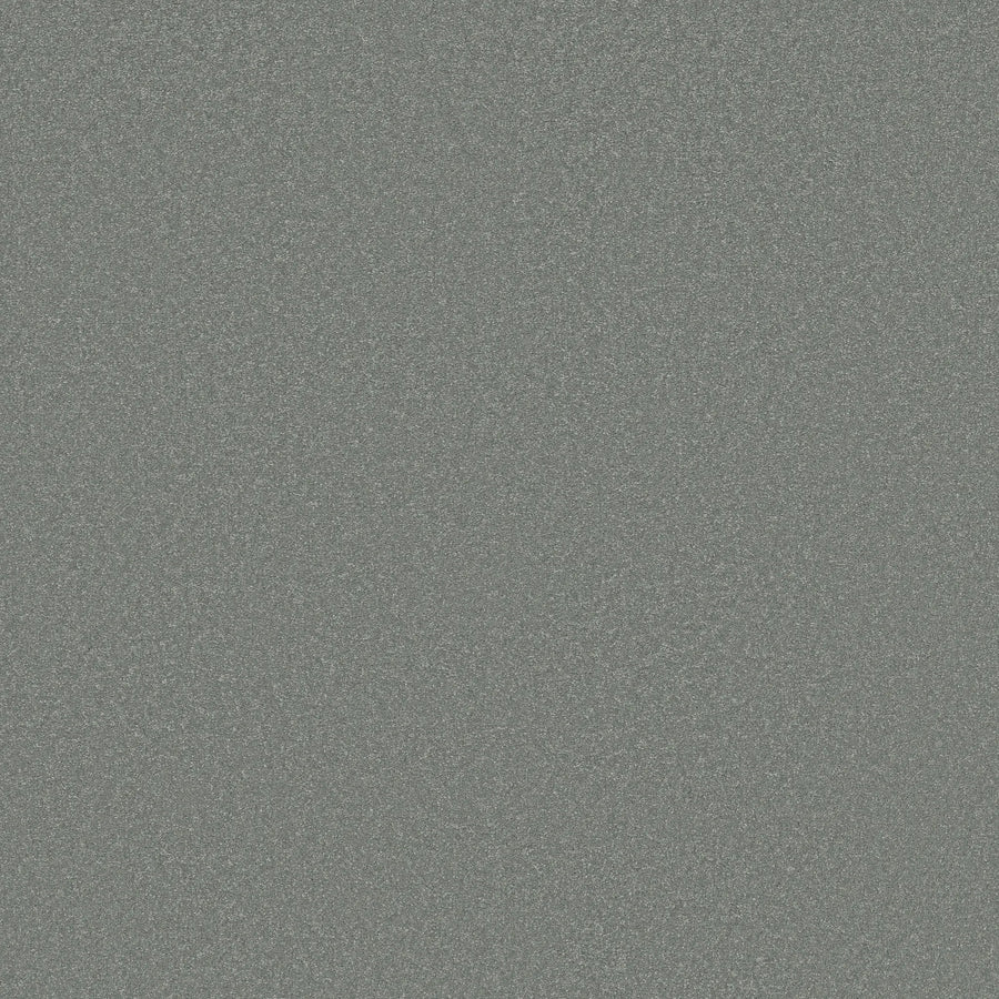 A close-up of the Awaken Spirit Pet Friendly Carpet in Secret shows its grainy, textured gray surface, emphasizing durability and modern style.