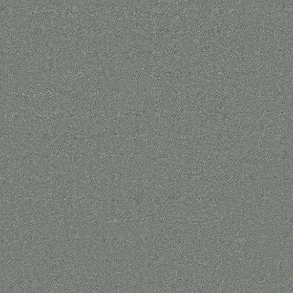 A close-up of the Awaken Spirit Pet Friendly Carpet in Secret shows its grainy, textured gray surface, emphasizing durability and modern style.