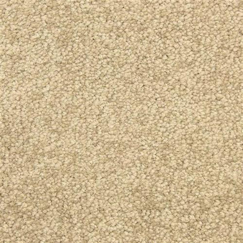 Close-up of Morgan Bay Family Friendly Carpet in Sedgewick, featuring a beige, textured surface with dense, uniform loops—soft underfoot and durable for high-traffic areas, perfect for families seeking comfort and resilience.